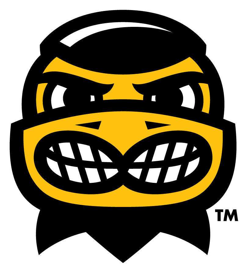Iowa Hawkeyes 2013-Pres Mascot Logo v2 DIY iron on transfer (heat transfer)
